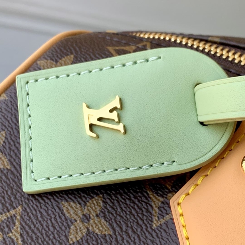 LV Speedy Bags
